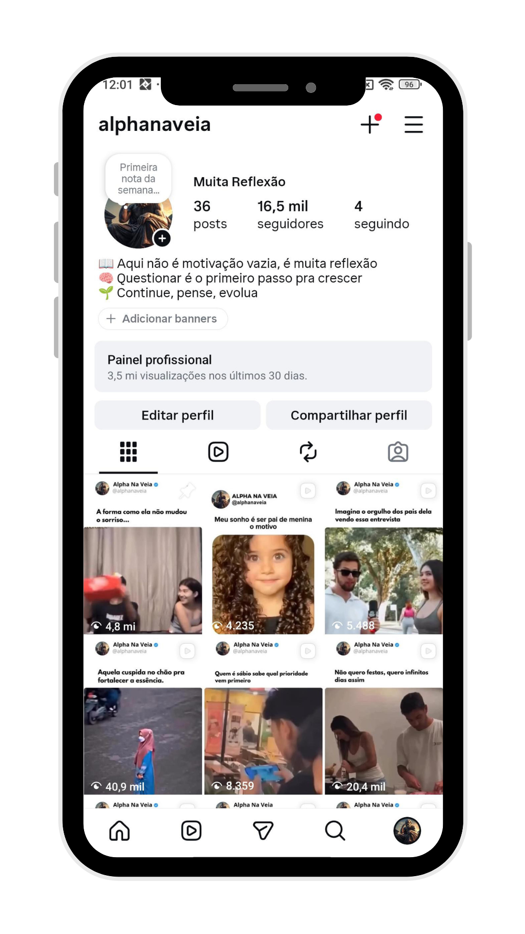 Perfil ALPHANAVEIA